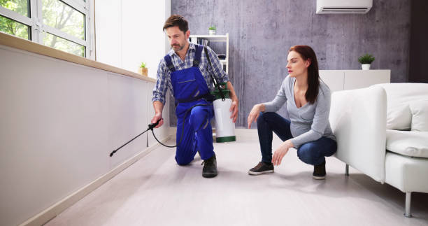 Best Pest Control for Multi-Family Homes  in Clinton, NY